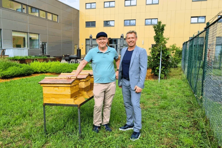 Bienen Honig Firmament
