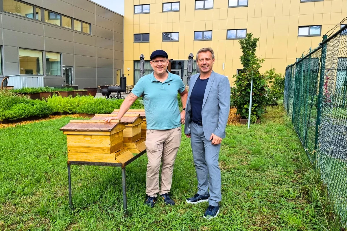 Bienen Honig Firmament