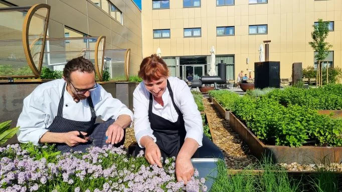 Kraeutergarten 2022 Klein