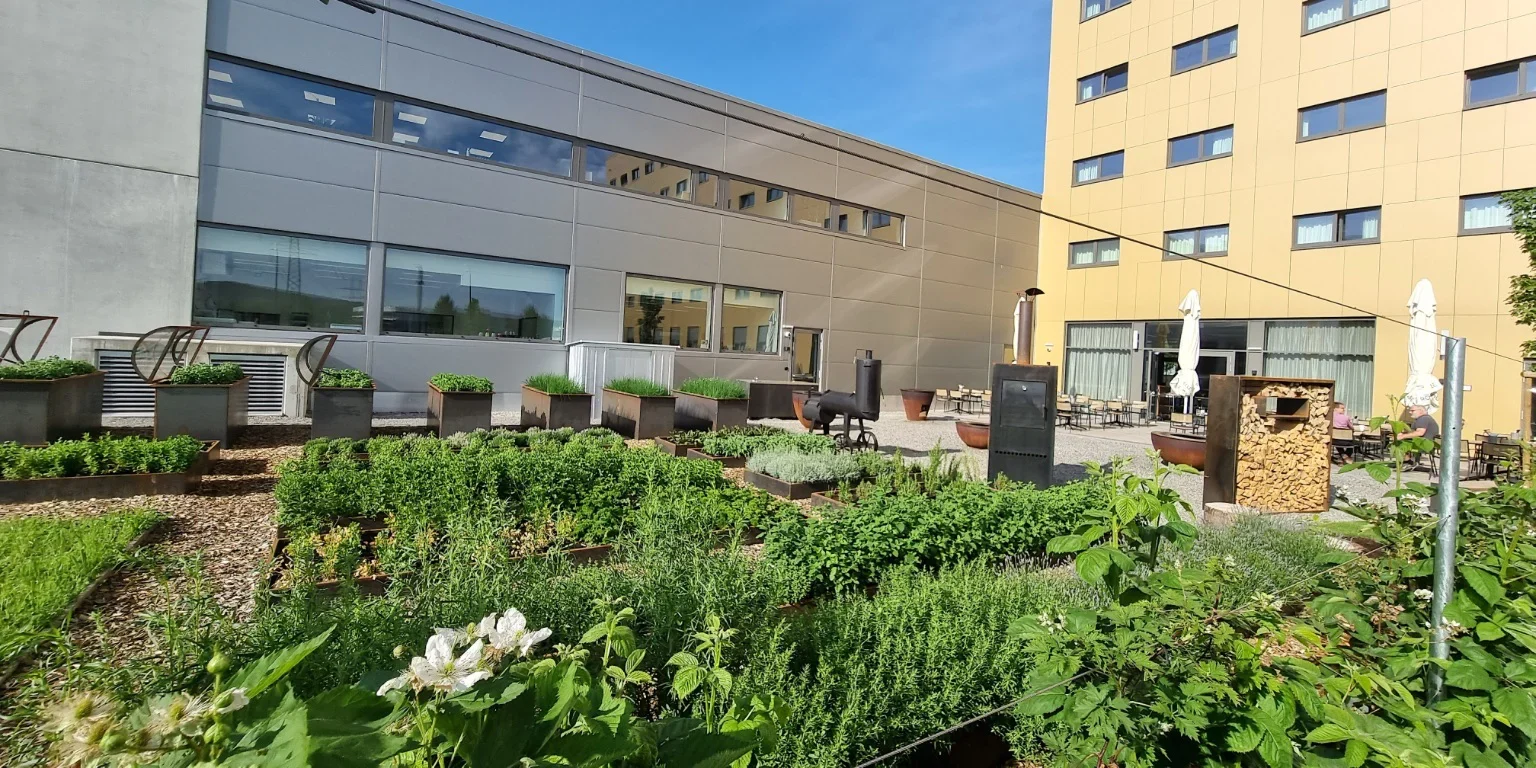 Kraeutergarten Firmament