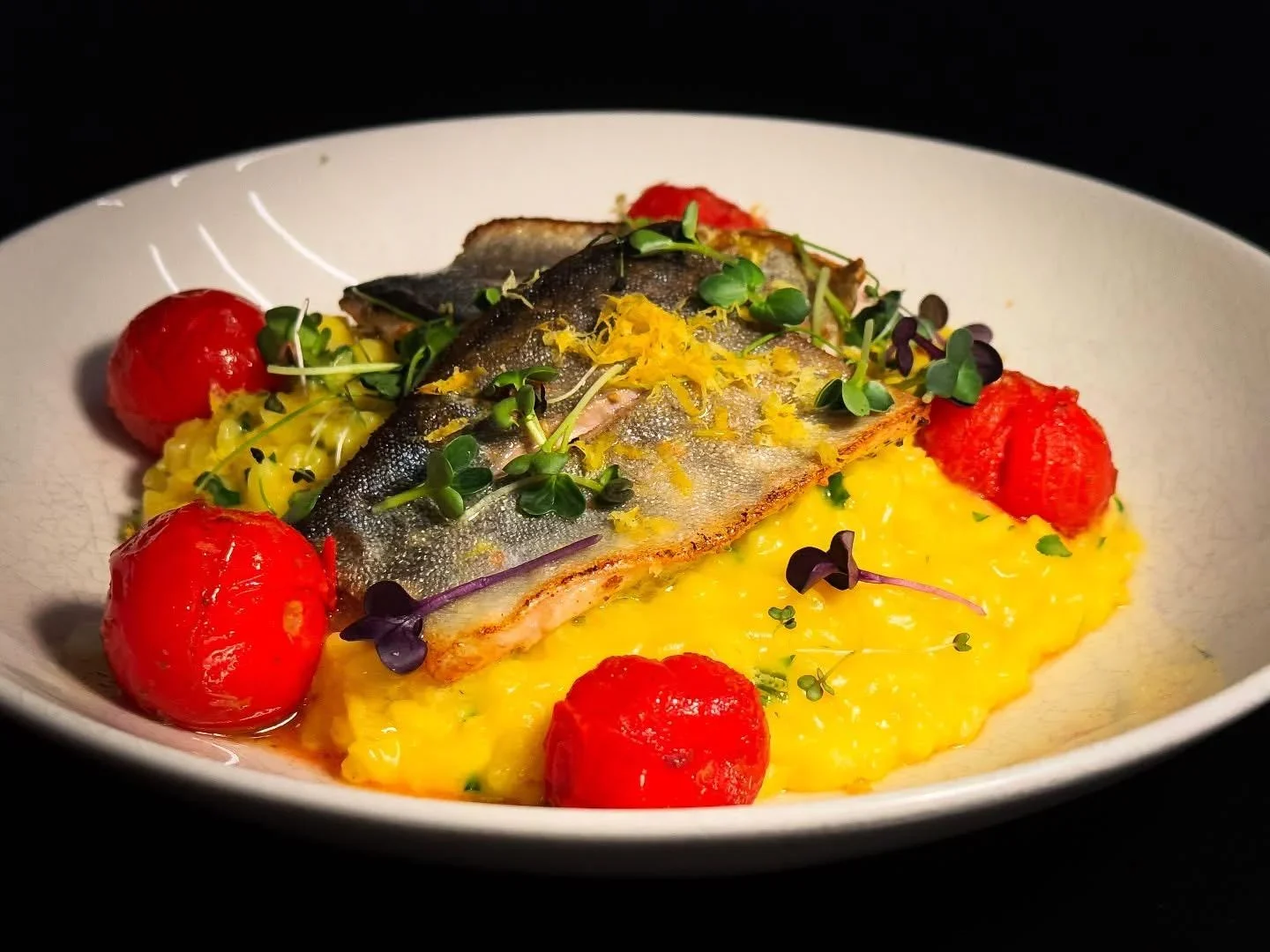 Saiblingsfilet Safranrisotto